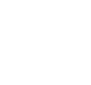 Defence Homes Logo W